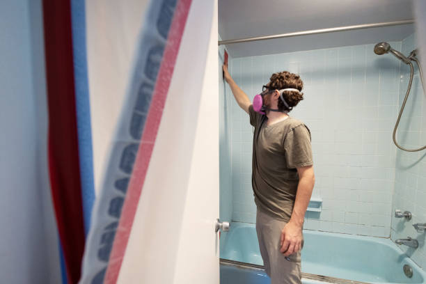Best Asbestos and Lead Testing During Mold Inspection  in Richmond, IN